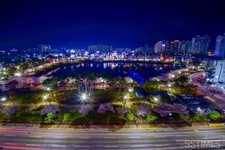 벚꽃_야간.jpg